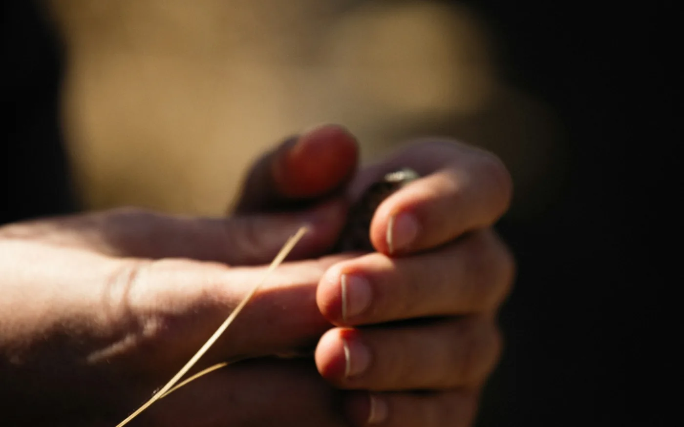 Dry needling and acupuncture use the same needle but come from different traditions