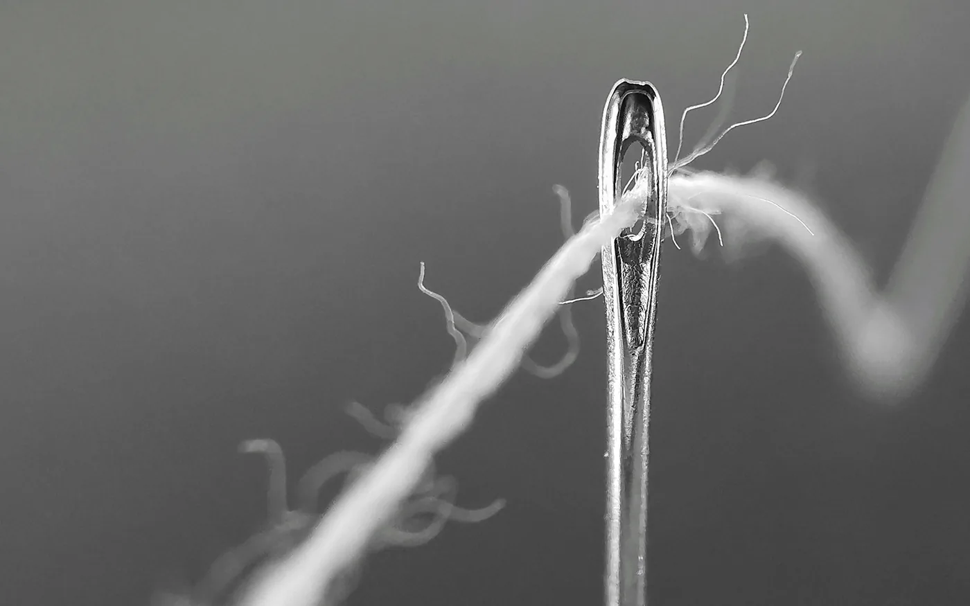 A single acupuncture needle, about the thickness of a human hair
