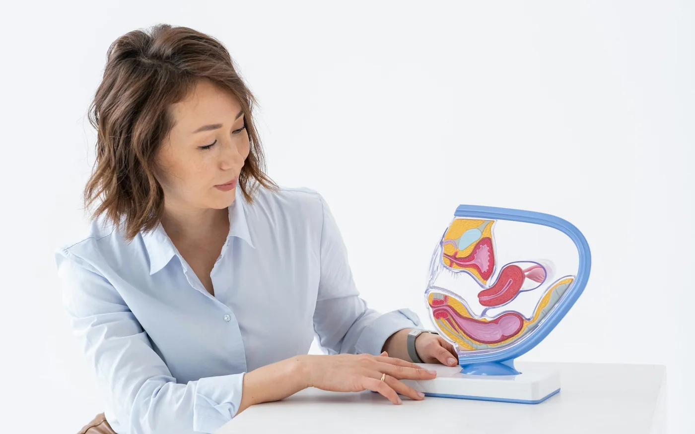 The balance organs of the inner ear sit alongside the hearing apparatus