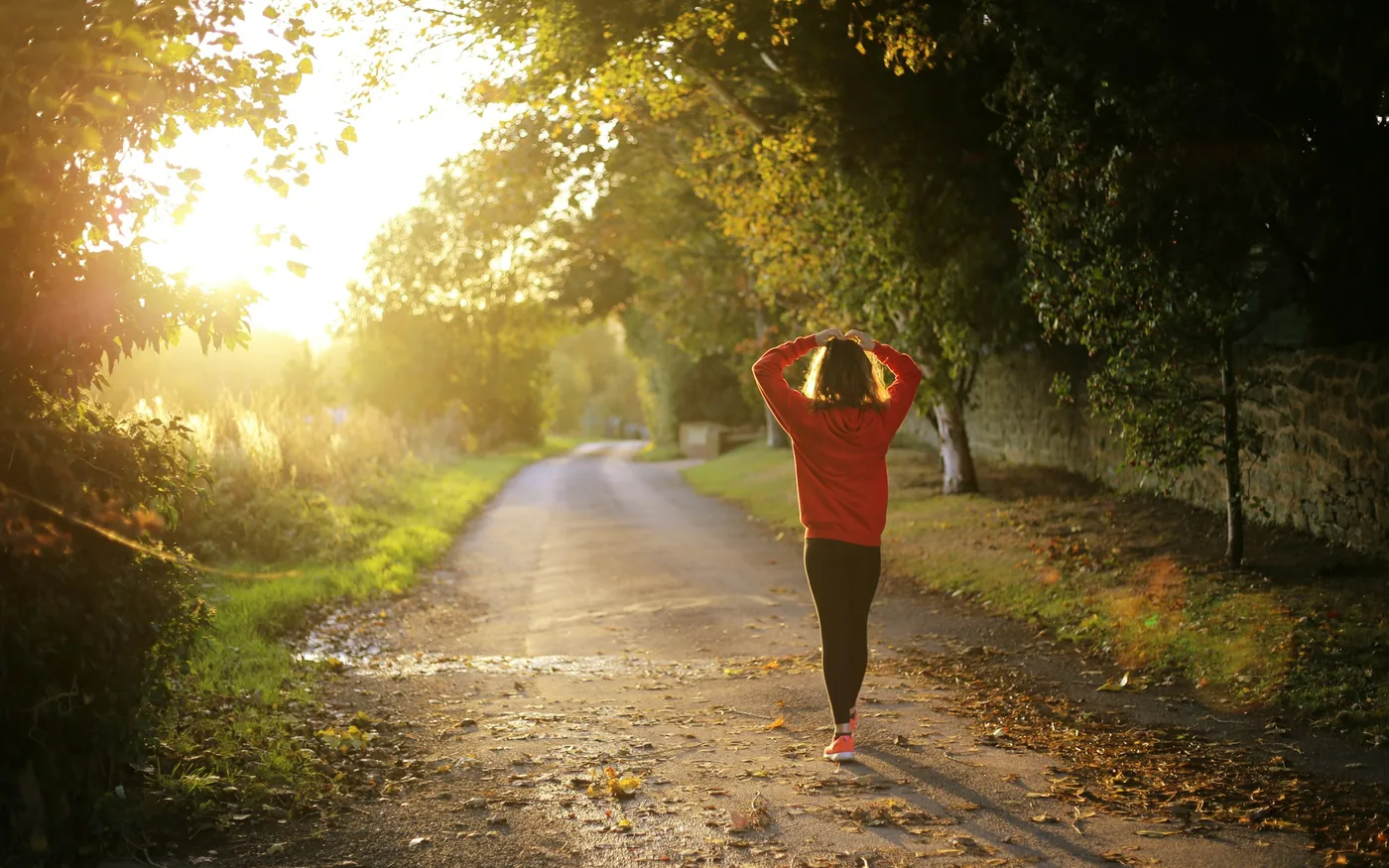 Recovery work is what lets you train again sooner, not train harder