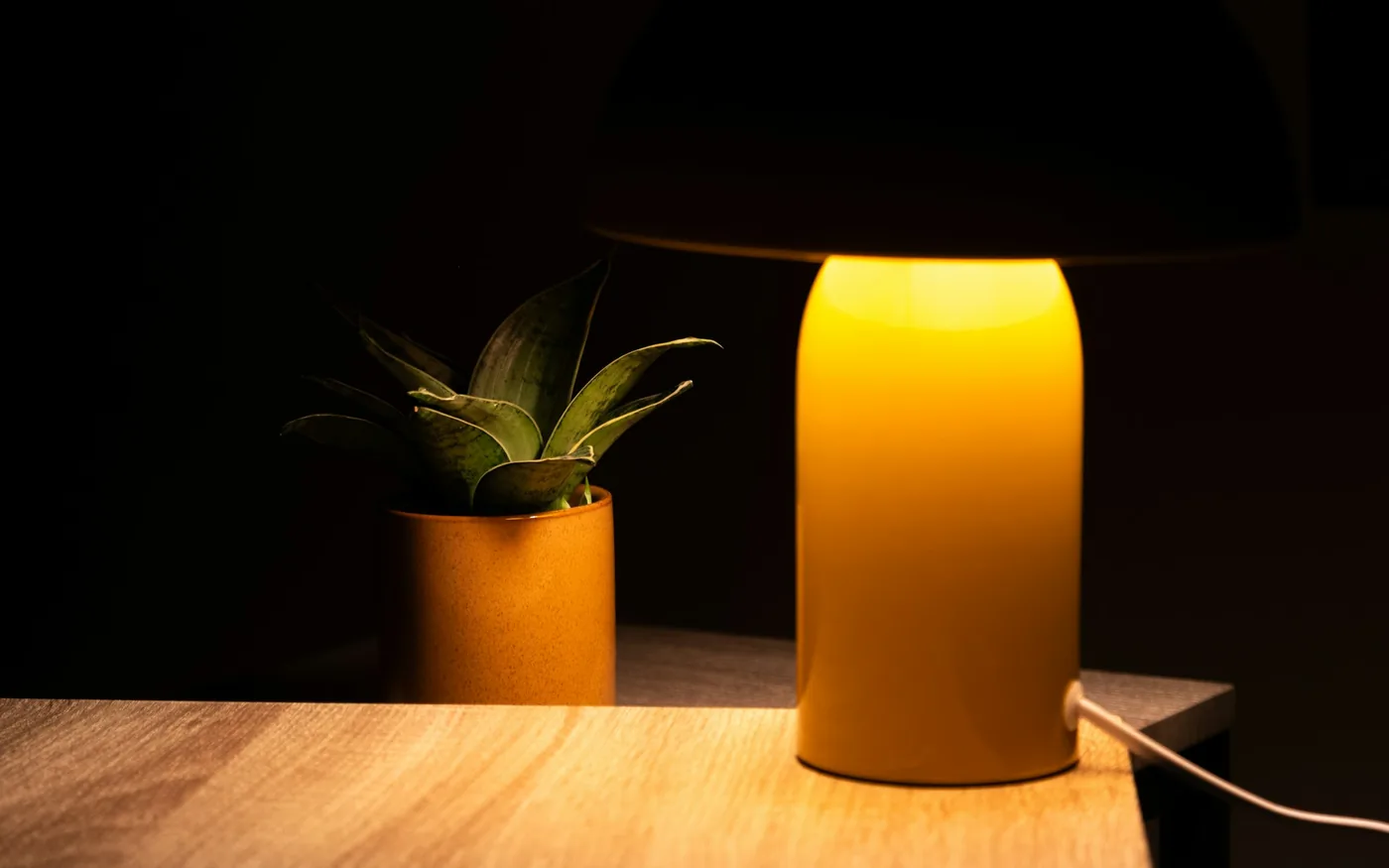 Low light and a quiet room are part of what makes it work
