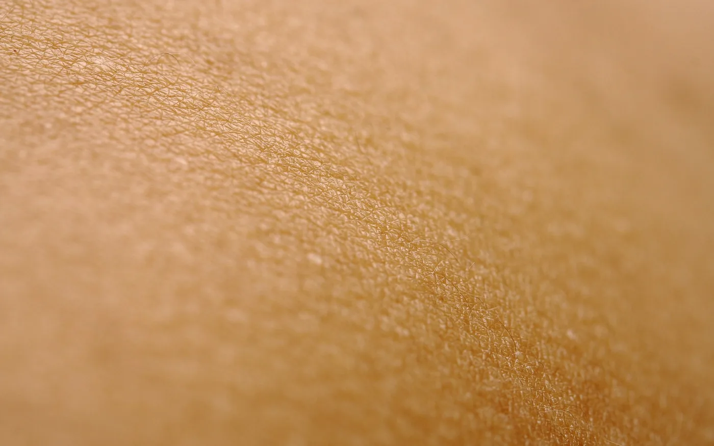 The needle activates sensory nerve fibres in the skin and muscle
