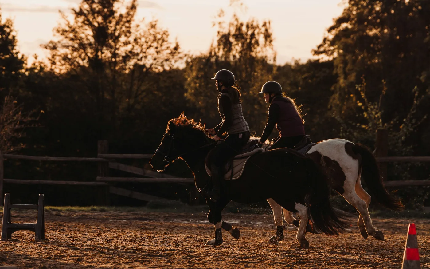 Riding produces a recognisable pattern of back, hip and shoulder complaints