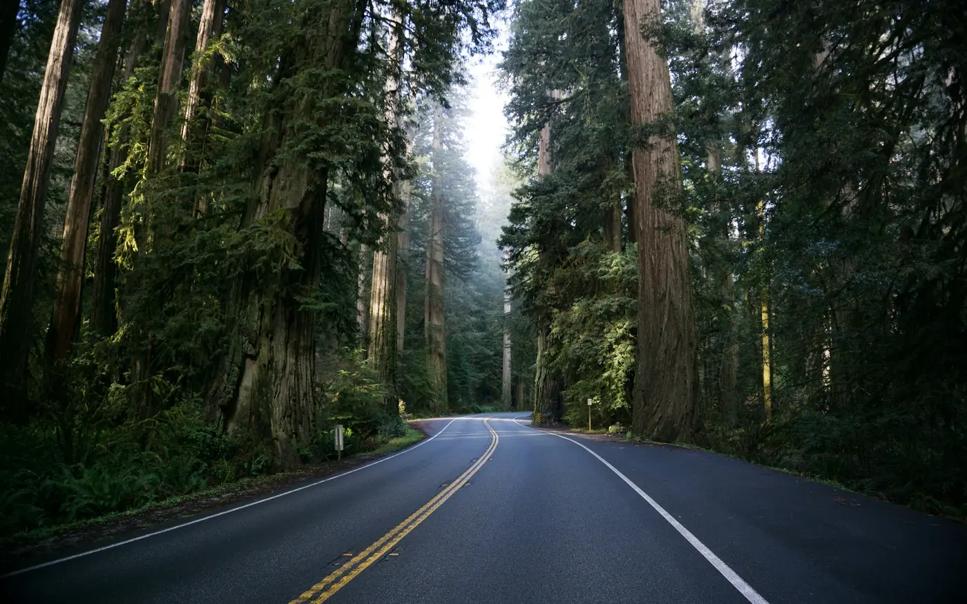 Twenty-five to thirty minutes down Route 128 by car
