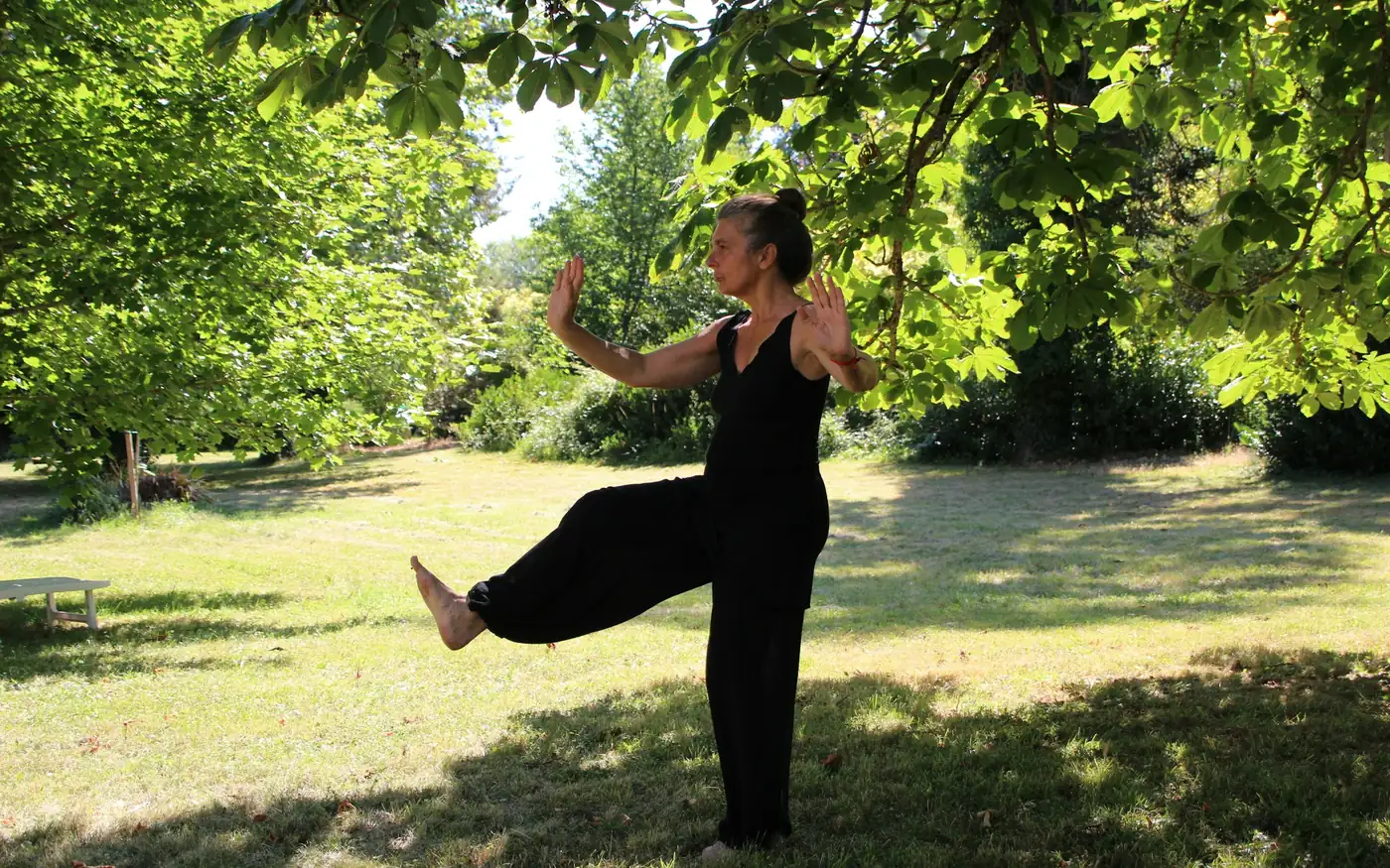 Gentle movement such as tai chi has some of the best evidence