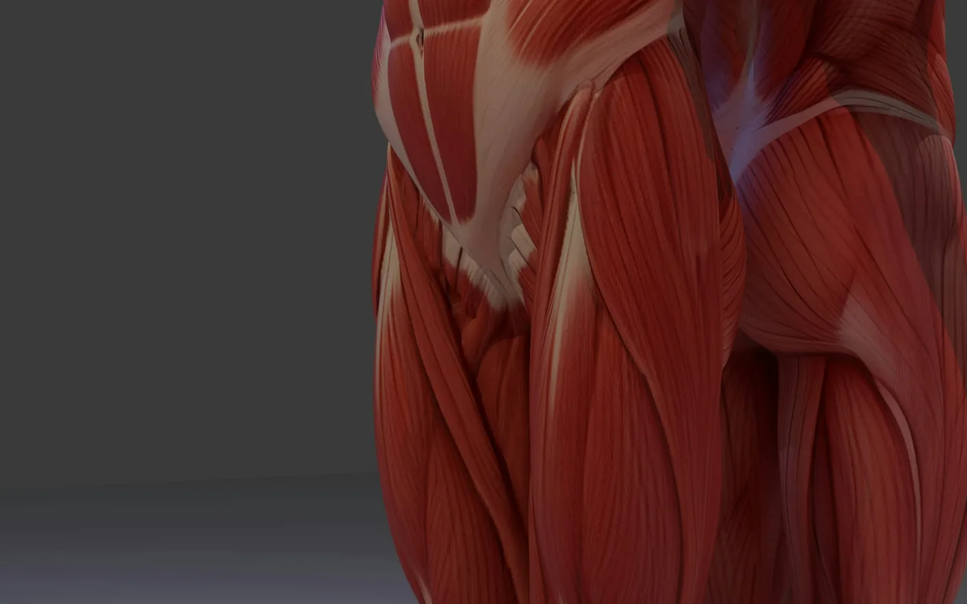 A sensation of tightness and fullness rather than bone tenderness