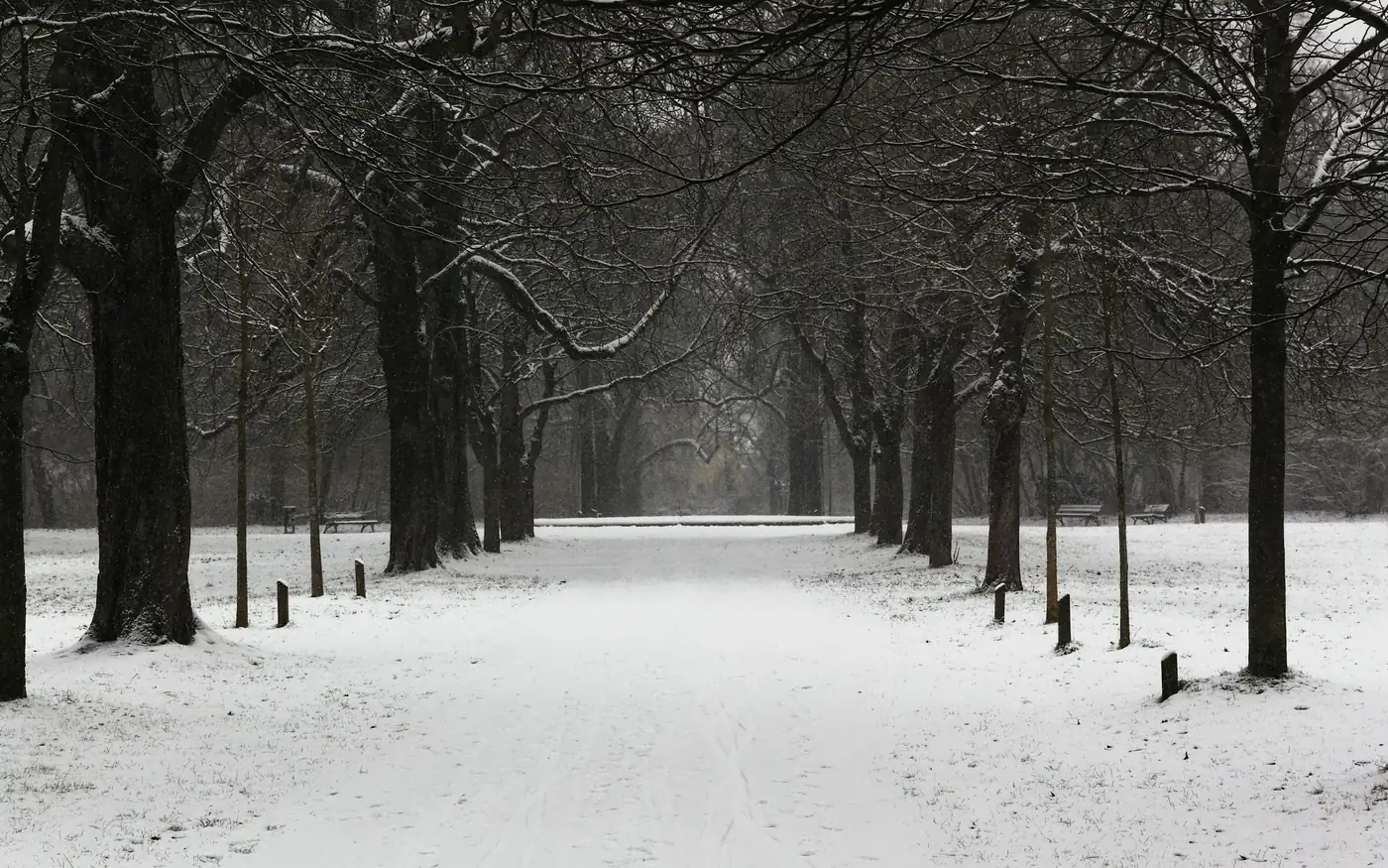 What reliably changes in winter is how much you move